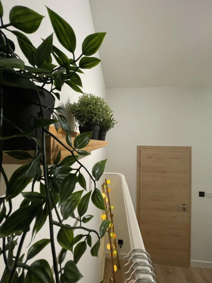 לייז' Patenier Hidden Garden 1Bdr With Garden מראה חיצוני תמונה